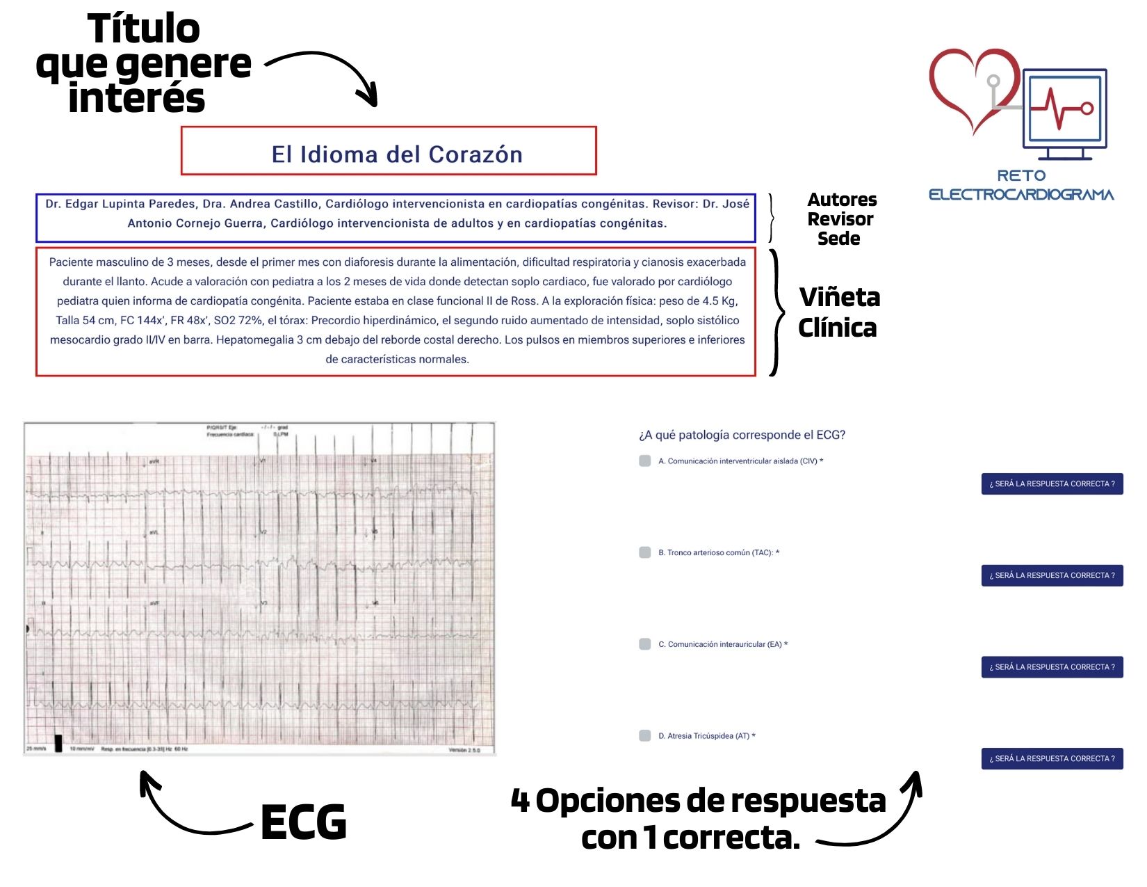Esquema básico del proceso de publicación